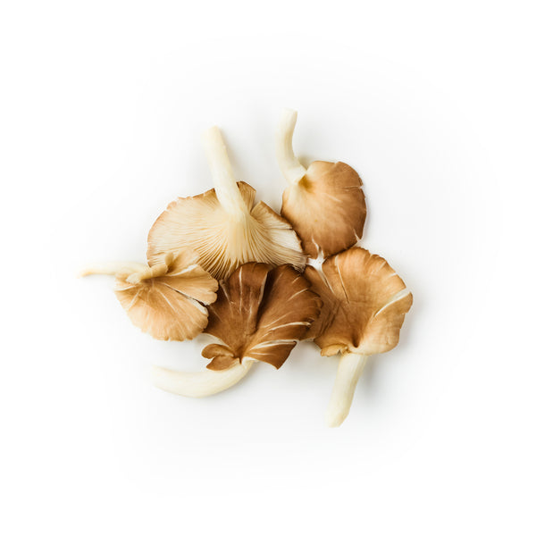 Oyster Mushroom 平菇 100g+/-