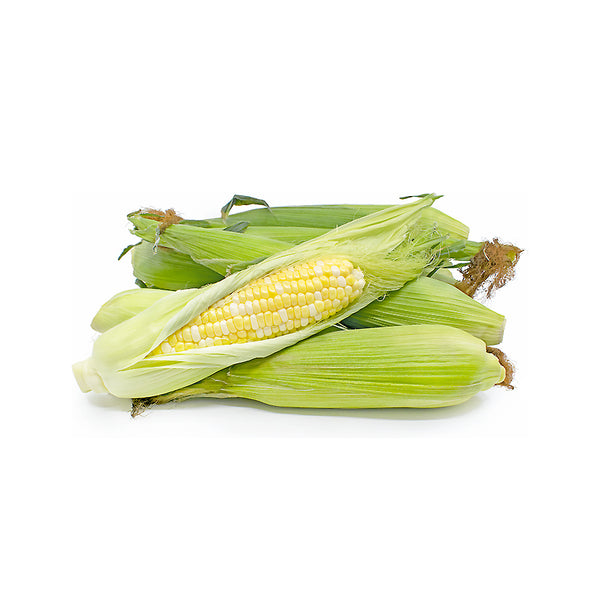 Pearl Sweet Corn 珍珠玉米 1pc