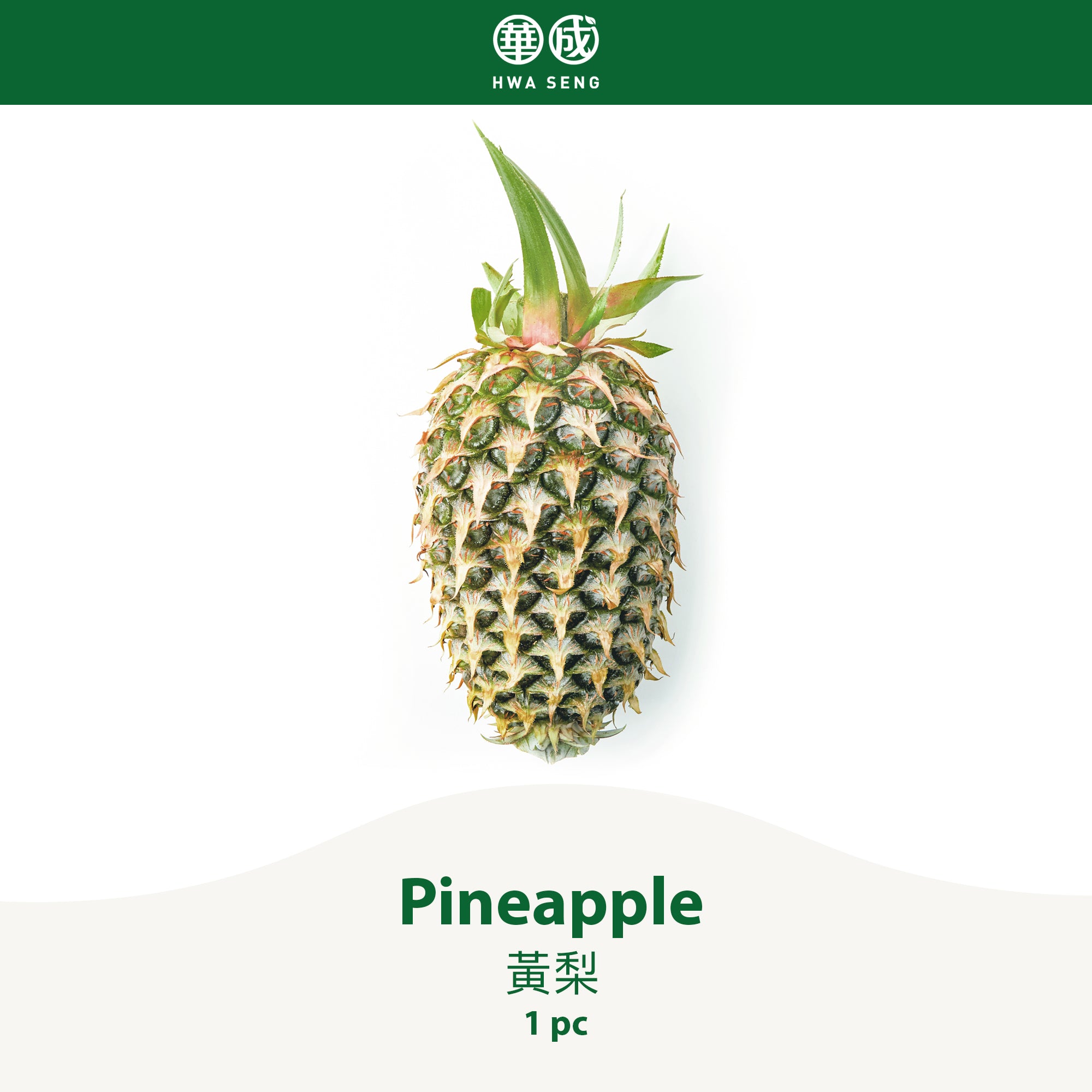 Pineapple 黃梨 1pc