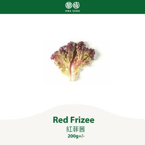 Red Frizee 紅菲茜 200g+/-