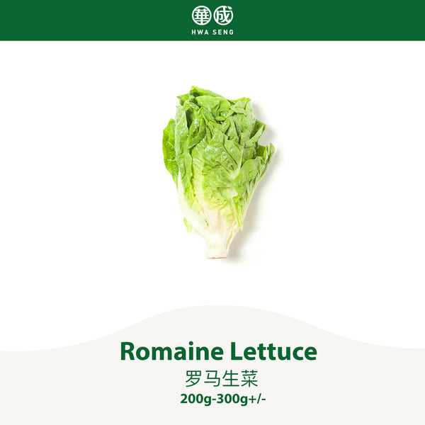 Romaine Lettuce 罗马生菜 200g-300g+/-