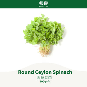 Round Ceylon Spinach 圆莧菜苗 200g+/-