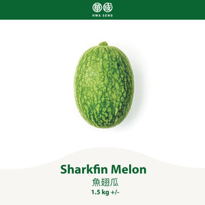 Sharkfin Melon 魚翅瓜 1.5kg+/-