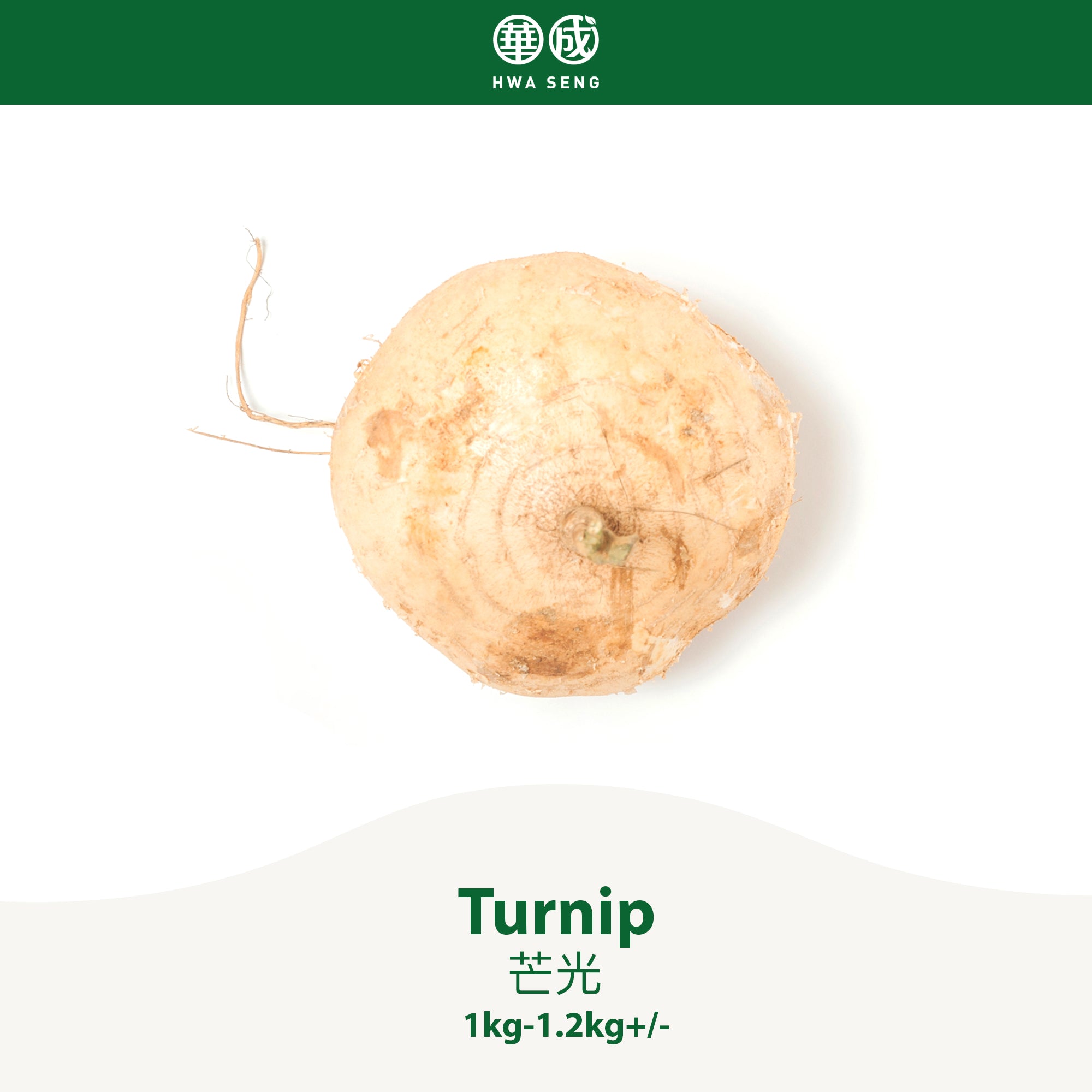 Turnip 芒光 1kg-1.2kg+/-