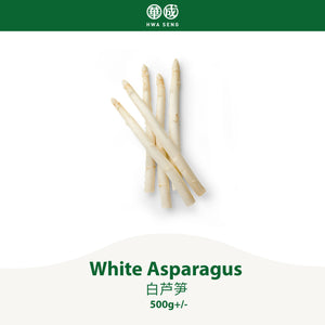 White Asparagus 白芦笋 500g+/-