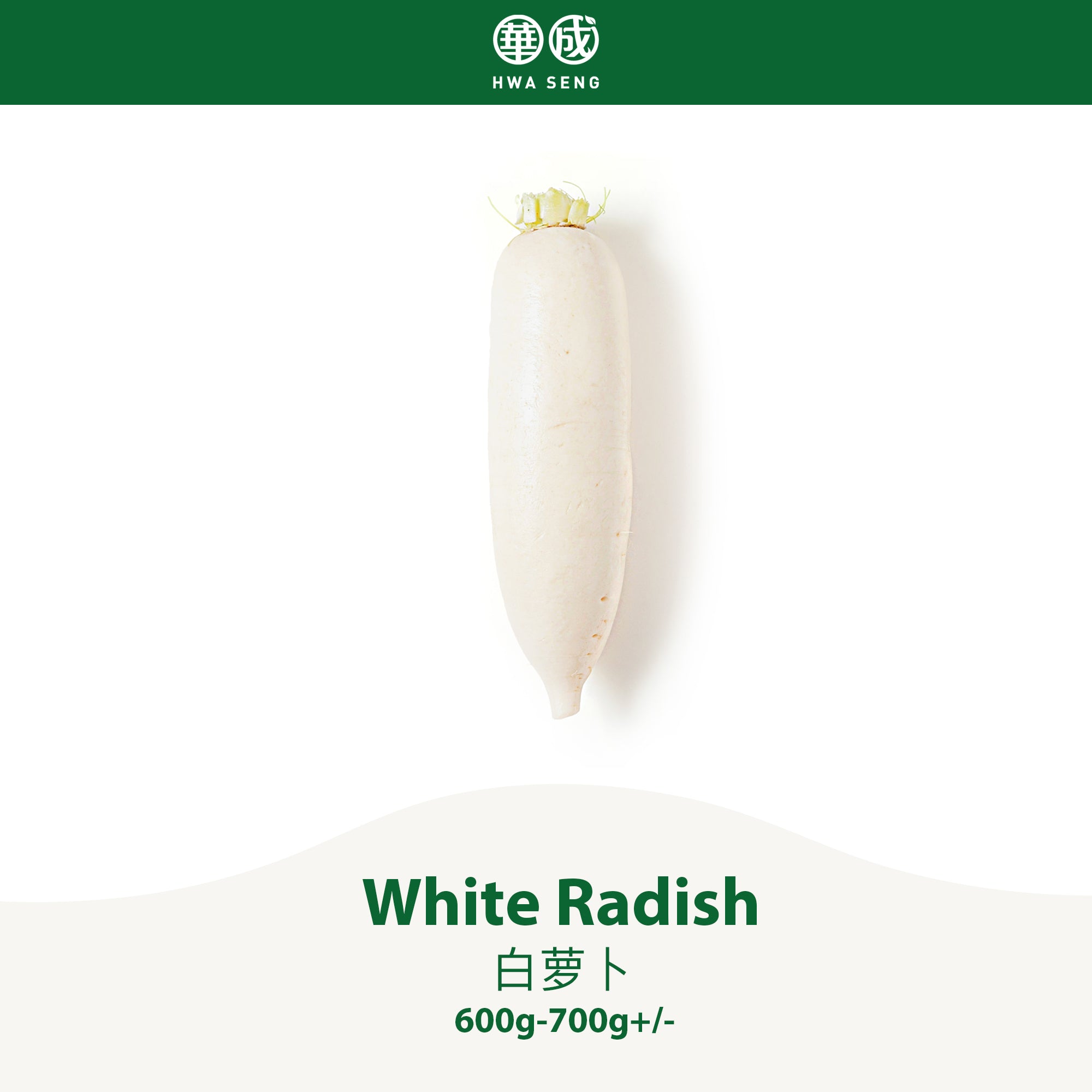White Radish 白萝卜 600g-700g+/-