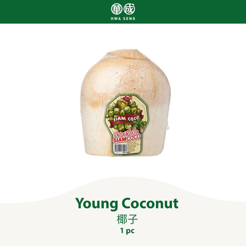 Young Coconut 椰子 1pc