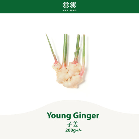 Young Ginger 子姜 200g+/-
